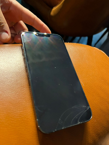 Apple Iphone 13 Pro Usado Bat 100% Verde-alpino (Usado)