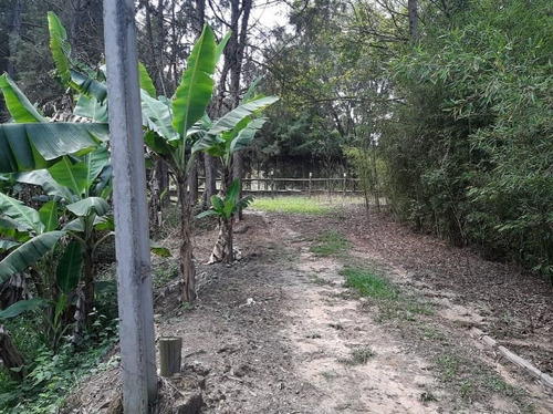 Imagem 24 de 27 de Chácara Com 2 Dormitórios À Venda, 10000 M² - Bairro Da Barra - Sarapuí/sp - Ch0534