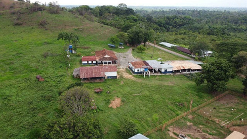 Imagen 1 de 14 de I.l Se Vende Finca En San Antonio De Caparo
