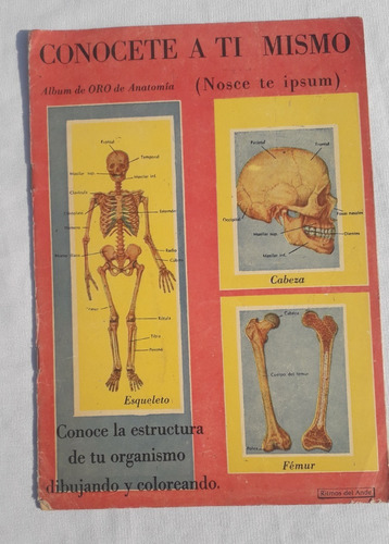 Album Figurita Antiguo * Anatomia Humana * Ed. Ritmo Incompl