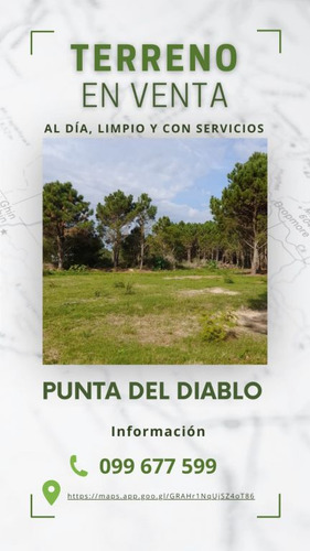 Terrenos En Punta Del Diablo, Zona Avenida Central, Bosque.