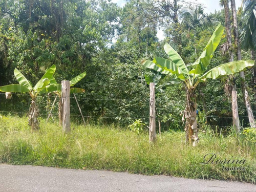 Imagem 2 de 20 de Terrenos A Venda No Barro Barro Branco A Partir De 55 Mil-negociáveis - Te0120