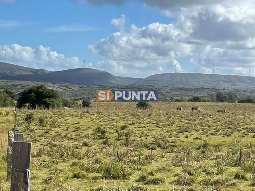 Imagen 3 de 5 de Campo En Venta Las Cañas, Maldonado
