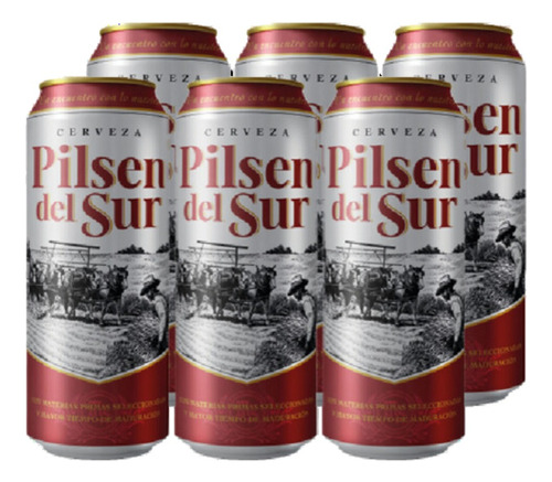 Pack 6 Cervezas Pilsen Del Sur Lata 473cc