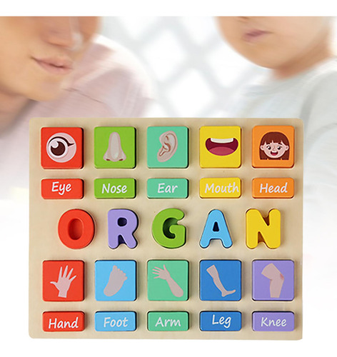 Juego De Rompecabezas Montessori Para Niños, Juguete Organo