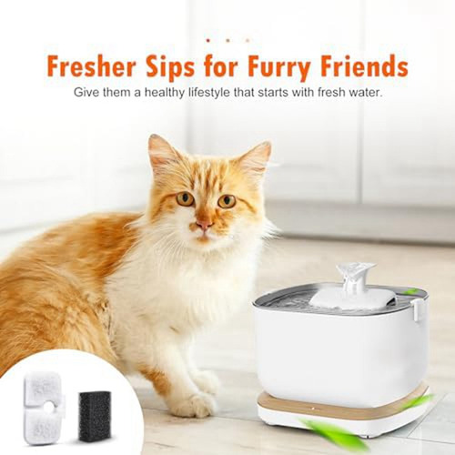 Filtros De Fuente For Mascotas For Fuente De Agua Petlibro
