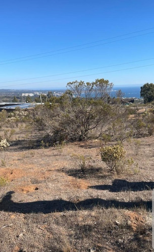 Imagen 2 de 13 de Terreno Con Hermosa Vista A La Bahía Algarrobo
