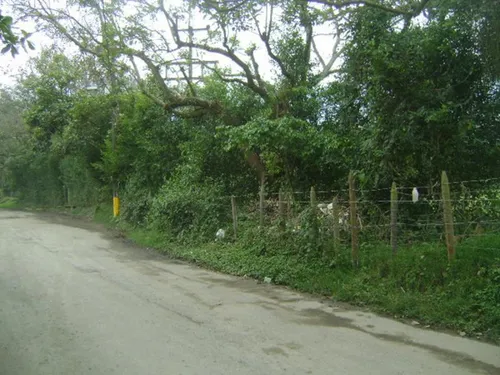 Lote En Venta En Copacabana