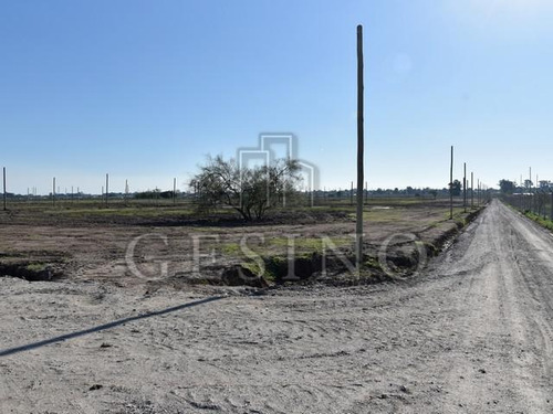 Imagen 5 de 7 de Terreno - Arana