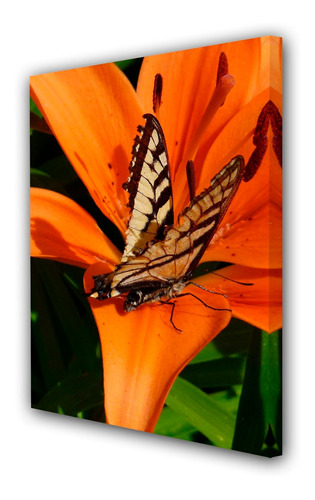 Cuadro 40x60cm Petalo Naranja Flor Silvestre P6