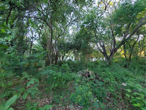 Terreno En Venta En Ejidal