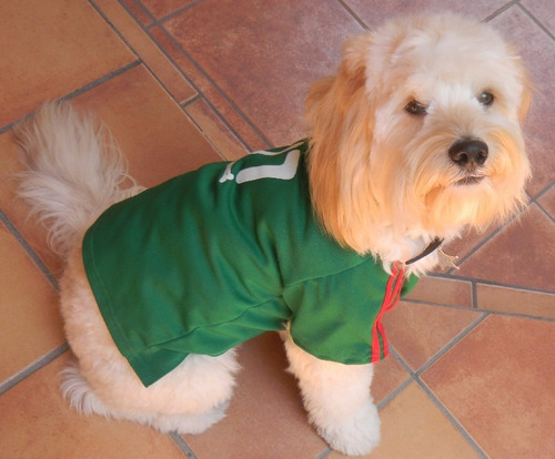 Imagen 6 de 8 de Playera Deportiva Jersey Seleccion Mexicana Perro T7 Verde