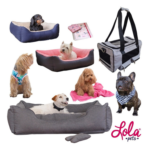Imagen 4 de 6 de Moises Para Perro Lola Pets Alaska Chico