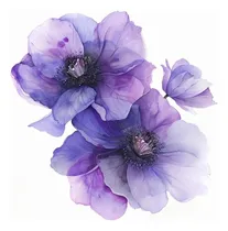 Comprar Calcomanía De Automóviles De Flores Clemáticas, Calcomanía