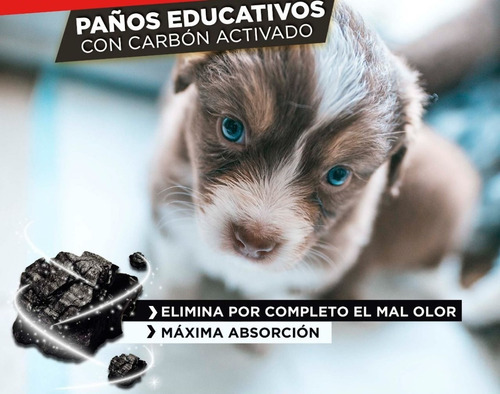 Imagen 5 de 7 de Paños De Entrenamiento Para Perros 10u. Black Cancat Pet