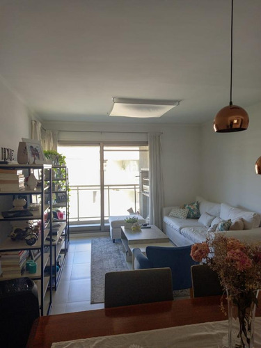 Imagen 7 de 29 de Departamento - Tigre