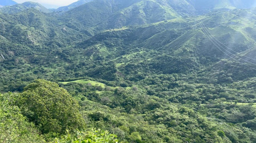 Finca Lote Barata En Venta Precio Oportunidad