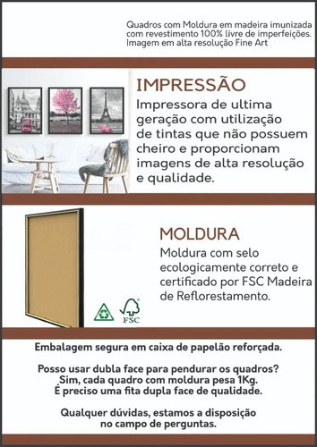 Quadro Dentista Odontologia Consultório Odontológico Lindo
