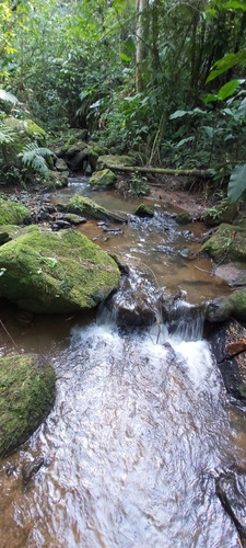 Imagem 2 de 5 de Lote Pra Chacara Com 1 Alqueire