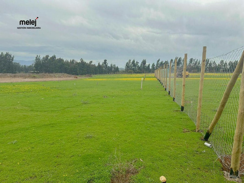 Venta Terrenos En Los Laureles, Limache