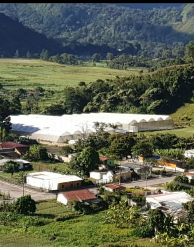 Imagen 4 de 15 de En Venta Finca De 2 Hectáreas En La Guanota