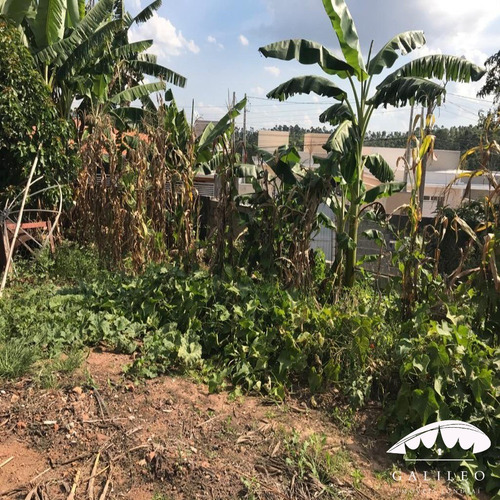 Imagem 5 de 7 de Venda | Terreno Em Campo Limpo Paulista - Com 690 M² - No Jardim Laura. - Te00173 - 69375572