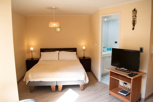 Arriendo Depto Amoblado Studio - Mosqueto (5288)