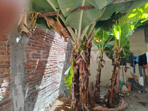 Casa En Venta En Colonia Guadalajarita