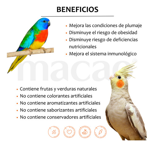Alimento Macao P/ Ninfa,loro, Papilla 1k+croqueta 1k+jeringa