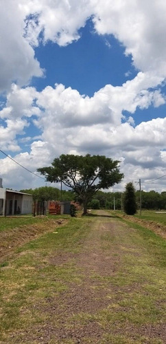 Imagen 9 de 18 de últimos Terrenos En Venta En San Andrés. Colonia Benítez