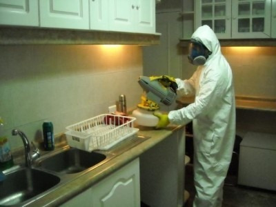 Imagen 2 de 6 de Fumigacion Cucarachas Ratas Dengue Hormig Pulgas Polilla