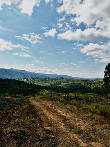 Imagem 7 de 8 de Terrenos De 600 M² A Venda Em Mairiporã