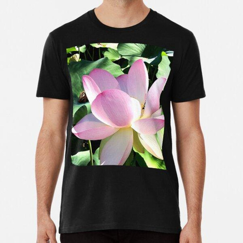 Remera Pink Lotus Blossom Summer Flowers Algodon Premium
