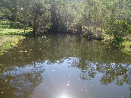 Imagem 2 de 14 de Sitio Próximo A Represa Ref 1291