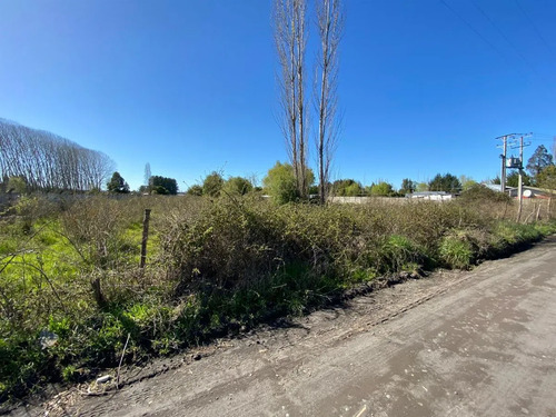 Terreno 5.000mt La Quinta, Cabrero Sin Comisión De Corretaje