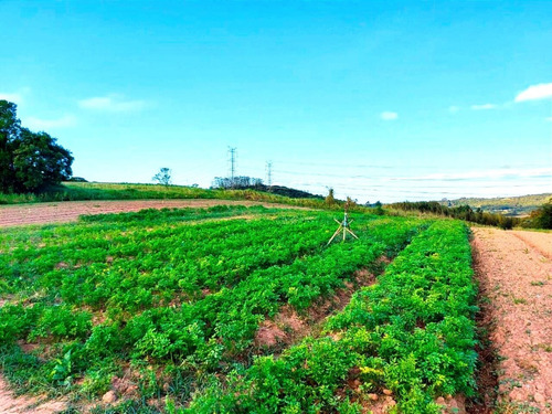 Imagem 11 de 15 de 11o- Terreno Próximo À São Roque