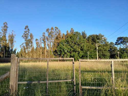 Venta Hermosa Parcela A Min. De P Las C (73819)