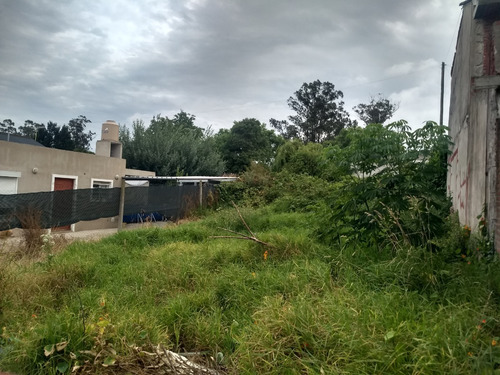 Imagen 6 de 7 de Terreno
