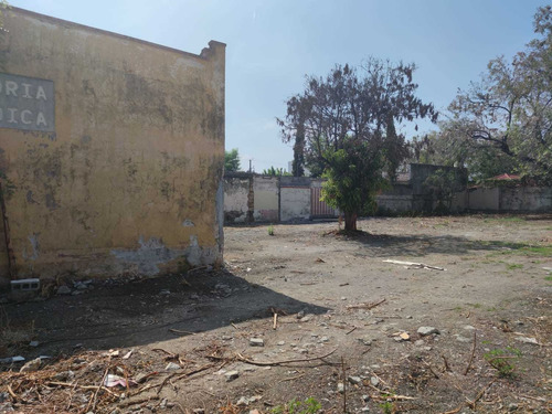 Imagen 2 de 4 de Terrenos En Renta En Sección Centro, Allende