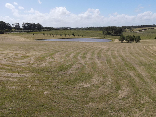 Imagen 11 de 30 de Chacra En Venta, Fraccion De 20 Has En Jose Ignacio (ref: Atm-6766)
