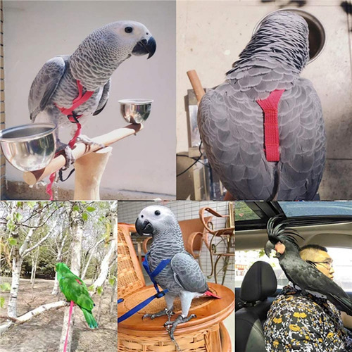 T Arnés Para Pájaros Papagaio Trela Ajustable Antimordida
