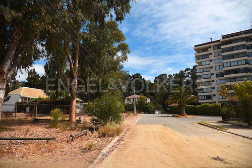 Terreno En Algarrobo Central