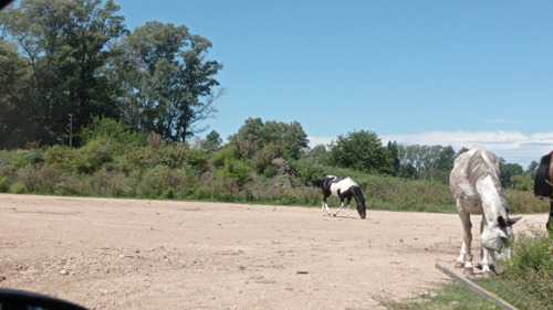 Terrenos/fracciones/loteos Loteos - Venta
