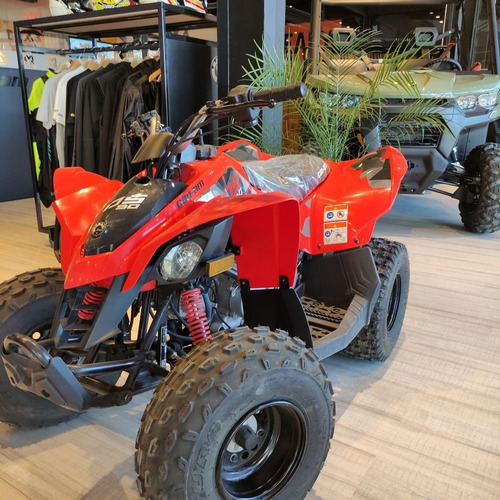 Imagen 14 de 18 de Canam Ds 90 Cuatri 0km No Yamaha Honda Motomel Usd