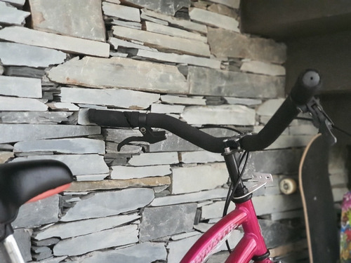 Bicicleta Robinson Playera R 20