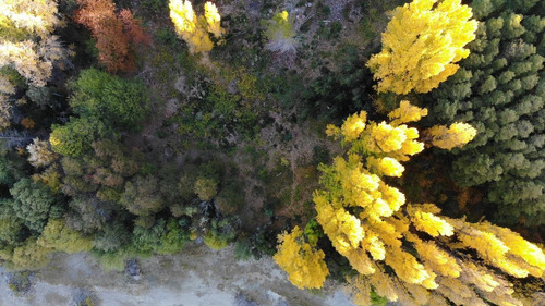 Imagen 23 de 30 de Única Fracción Costa De Lago Av Bustillo Bariloche