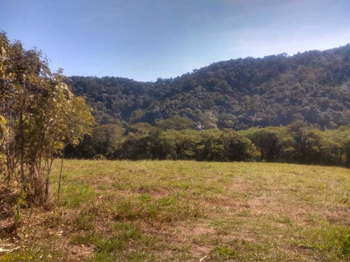 Imagem 6 de 14 de 3-terrenos Em Santa Isabel !