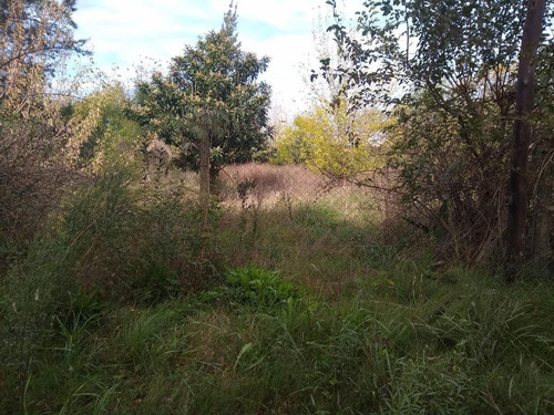Imagen 5 de 5 de Terreno - Parque Sakura