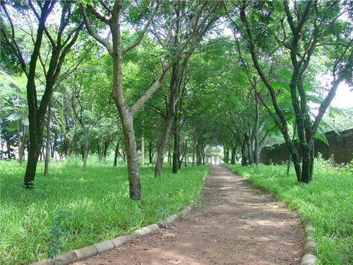 Imagem 5 de 9 de Terreno À Venda, 480 M² Por R$ 562.000,00 - Jardim Do Sol - Campinas/sp - Te0009