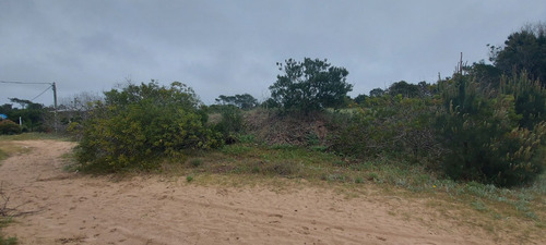 Terreno Muy Alto A La Venta En Punta Del Diablo